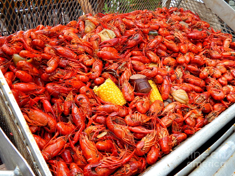 crawfish boil - more is always better