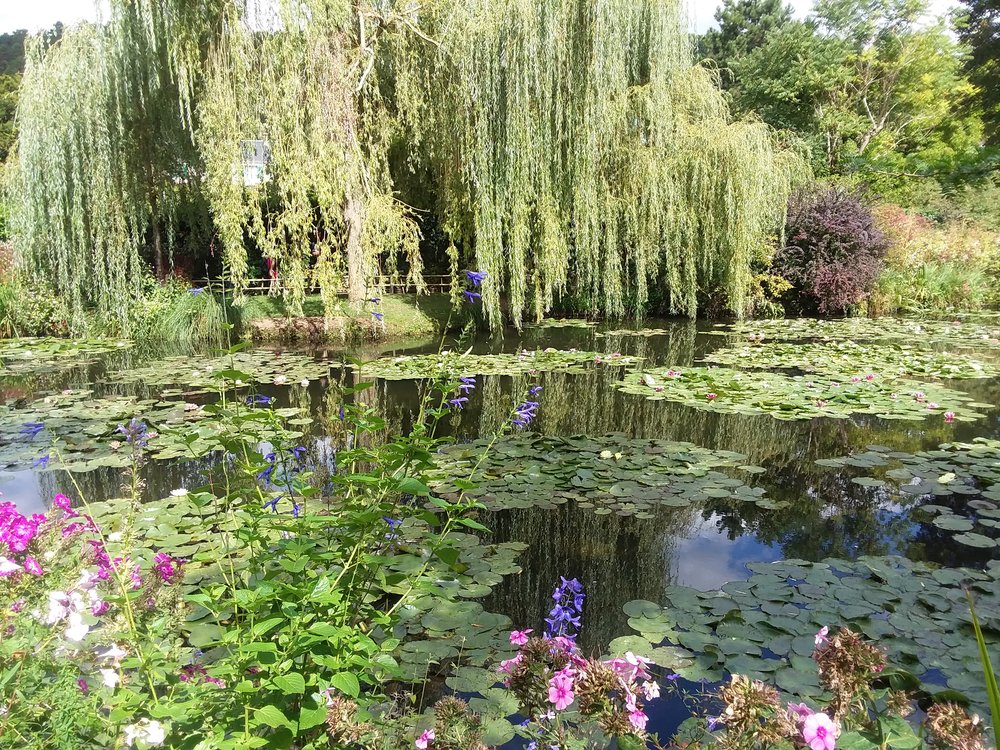 Monet’s water lilies