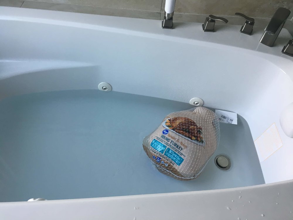 The bird made it to our new Jacuzzi tub before we did!