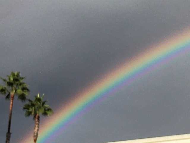 california rainbow