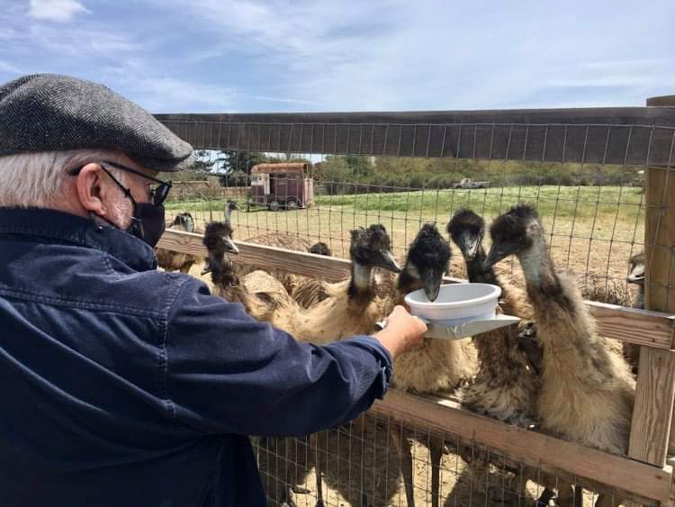 ostrich farm tourism