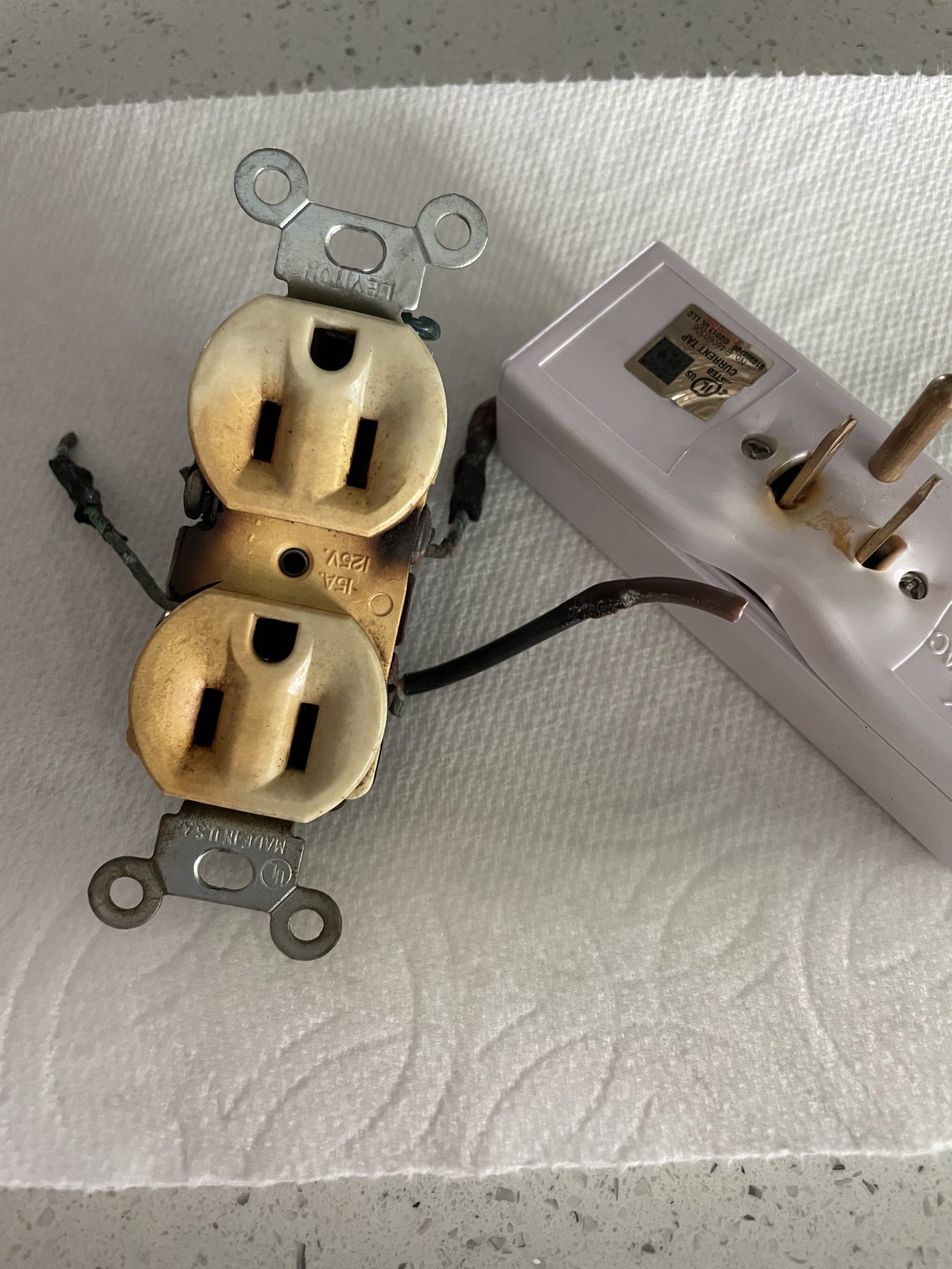 Electrical bananas Reid Champagne Blog